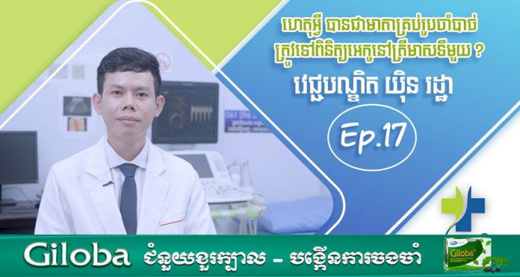 [វីដេអូ] Ep.17 # ហេតុអ្វី បានជាមាតាគ្រប់រូបចាំបាច់ ត្រូវទៅពិនិត្យអេកូនៅត្រីមាសទីមួយ?