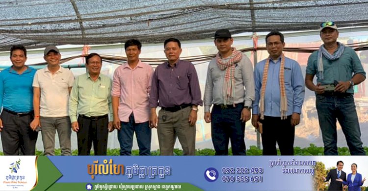 ដាំបន្លែសុវត្ថិភាពក្នុងផ្ទះសំណាញ់ ទទួលបានទិន្នផលខ្ពស់និងបង្កើនប្រាក់ចំណូលគួរឲ្យកត់សម្គាល់