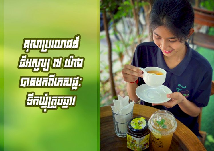 [វីដេអូ] គុណប្រយោជន៍ដ៏អស្ចារ្យ៧យ៉ាងបានមកពី ភេសជ្ជៈទឹកឃ្មុំក្រូចឆ្មា