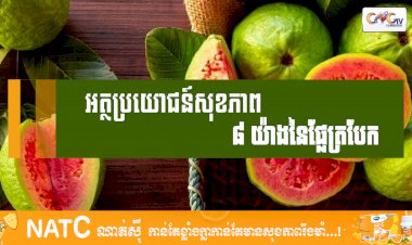[វីដេអូ] # Ep.76 អត្ថប្រយោជន៍សុខភាព ៨ យ៉ាងនៃផ្លែត្របែក