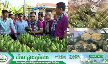 ក្រសួងកសិកម្ម! គម្រោងបង្កើតសហគមន៍កសិកម្មគំរូ ដែលតម្រង់ទិសទៅលើការធ្វើជំនួញ បន្តរហូតដល់ឆ្នាំ ២០២៧