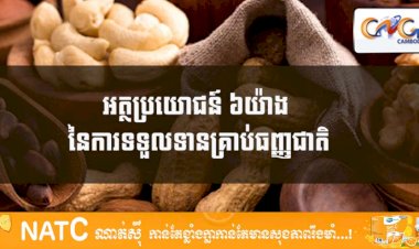 [វីដេអូ] # Ep.67 អត្ថប្រយោជន៍ ៦យ៉ាងនៃការទទួលទានគ្រាប់ធញ្ញជាតិ