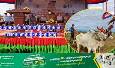 អាជ្ញាធរខេត្តកំពង់ស្ពឺ! ផ្តើមរៀបចំពិធីប្រណាំងរទេះសាឡីគោល្បឿនលឿនឡើងវិញ