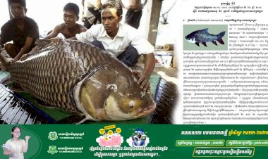 ត្រីគល់រាំង ជាមច្ឆជាតិនិមិត្តរូបនៃព្រះរាជាណាចក្រកម្ពុជា ឈ្មោះជាភាសាជាតិ «ត្រីកាហោ ឬត្រីក្បាលឡាន»