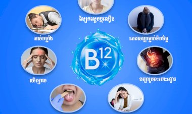 សញ្ញាទាំង ៧ នៃការកង្វះវីតាមីន B12