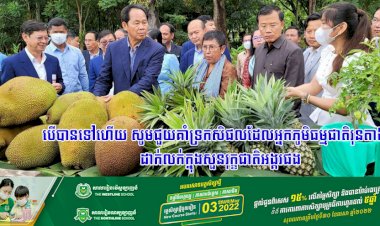 កសិករដាំដំណាំម្នាស់ទឹកឃ្មុំ អំពាវនាវឲ្យភ្ញៀវទេសចរ ជួយគាំទ្រកសិផលដែលអ្នកភូមិធម្មជាតិរុនតាឯក បានដាក់លក់ក្នុងសួនរុក្ខជាតិអង្គរ
