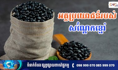 [វីដេអូ] Ep.141 ប្រធានបទ ៖ អត្ថប្រយោជន៍របស់សណ្តែកខ្មៅ