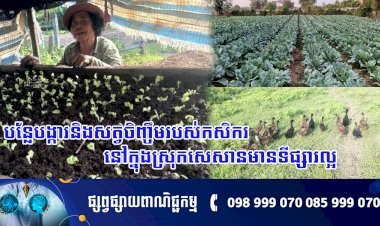 បន្លែបង្ការ និងសត្វចិញ្ចឹមរបស់កសិករនៅក្នុងស្រុកសេសានមានទីផ្សារល្អ