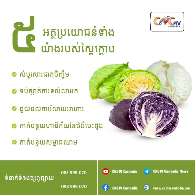 អត្ថប្រយោជន៍ទាំង ៥យ៉ាងរបស់ស្ពៃក្តោប