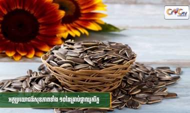 [វីដេអូ] #Ep.134 ប្រធានបទ៖ អត្ថប្រយោជន៍សុខភាពទាំង ១០នៃគ្រាប់ផ្កាឈូករ័ត្ន​​