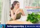 [វីដេអូ] នាទីសុខភាព Ep.148 ប្រធានបទ៖ អត្ថប្រយោជន៍ ៦ យ៉ាងរបស់ស្លឹកក្រូចសើច