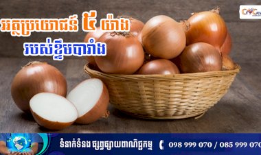 [វីដេអូ] នាទីសុខភាព Ep.147 ប្រធានបទ៖ អត្ថប្រយោជន៍ ៥ យ៉ាងរបស់ខ្ទឹមបារាំង