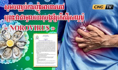 សូមបញ្ឈប់ការញុំាអាហារឆៅ ព្រោះវាជាមូលហេតុបង្កឲ្យកើតវីរុសណូរ៉ូ « Norovirus »