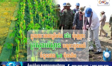 ក្នុងរយៈពេលត្រឹមតែ ៥ខែប៉ុណ្ណោះក្រសួងបរិស្ថាន បណ្តុះកូនឈើចំនួនជាង ៤០ម៉ឺនដើម