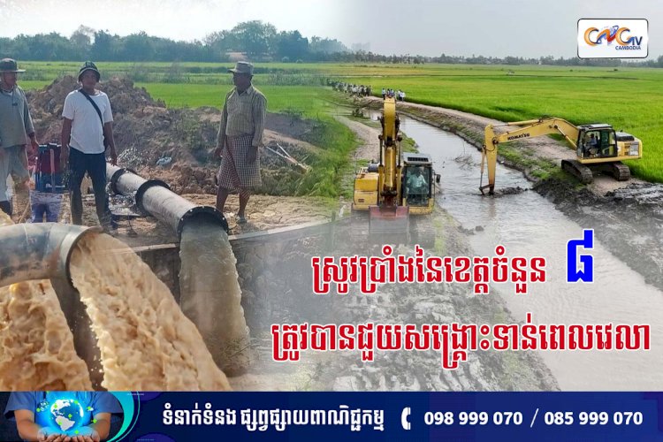 ស្រូវប្រាំងនៃខេត្តចំនួន ៨ ត្រូវបានជួយសង្គ្រោះទាន់ពេលវេលា