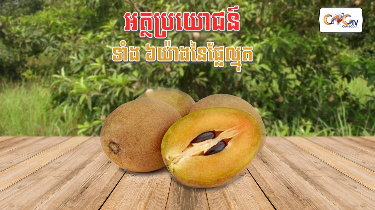 8 អត្ថប្រយោជន៍ដ៏អស្ចារ្យនៃផ្លែល្មុត