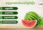 អត្ថប្រយោជន៍របស់ផ្លែឪឡឹក
