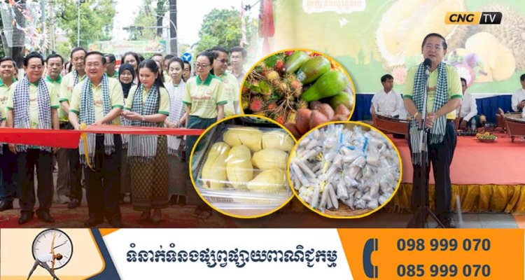 កាលពីម្សិលមិញនេះ រដ្ឋបាលខេត្តបាត់ដំបង បើកព្រឹត្តិការណ៍ផ្លែឈើ២០២៥ ដោយមានការដាក់តាំងលក់បន្លែផ្លែឈើក្នុងស្រុកជាច្រើនមុខ