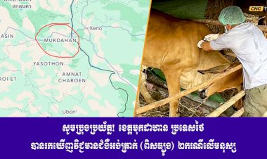 សូមប្រុងប្រយ័ត្ន! ខេត្តមុកដាហាន ប្រទេសថៃ បានរកឃេីញវិជ្ជមានជំងឺអង់ត្រាក់ (ពិសធ្យូង) ២ករណីលេីមនុស្ស