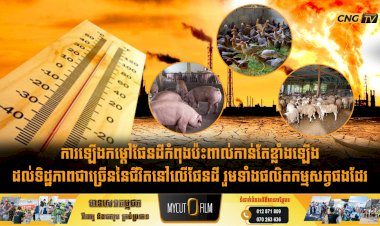 ការឡើងកម្ដៅផែនដីកំពុងប៉ះពាល់កាន់តែខ្លាំងឡើងដល់ទិដ្ឋភាពជាច្រើននៃជីវិតនៅលើផែនដី រួមទាំងផលិតកម្មសត្វផងដែរ